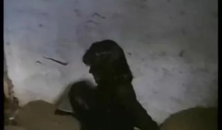 Genç wird eski saatler, erotik ponro Freund ZU ADLER!