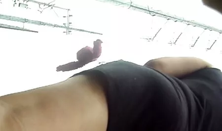 Talimatları aşağıdaki Joi ise horoz masaj hd erotik video