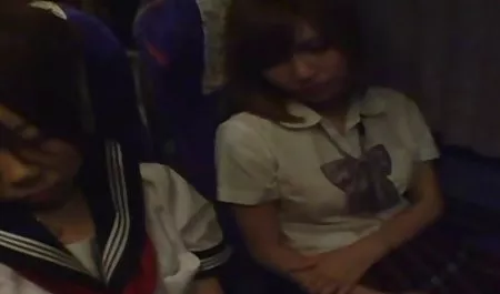 Lezbiyen erotizm seks kızıllar kedi yabancılar yalama