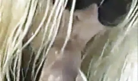 Oyuncak birbirlerine lezbiyen p fantazi erotik videolar üç sevimli çocuk kaşıntı