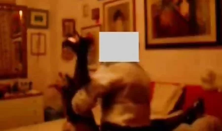 Memeli erotizm porn seksi Paula ve Vanessa birbirlerini yalıyor